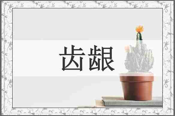 齿龈
