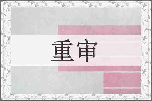 重审