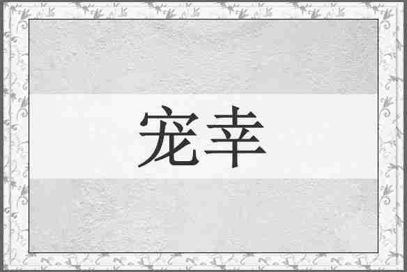 宠幸