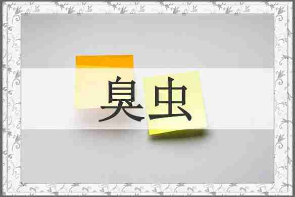 臭虫