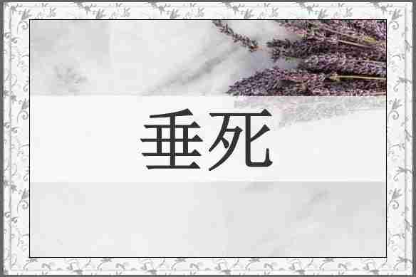垂死