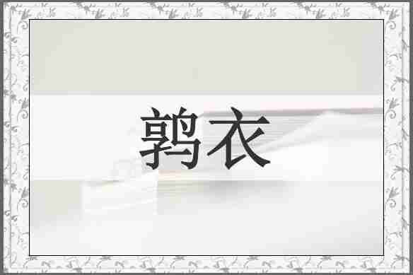 鹑衣