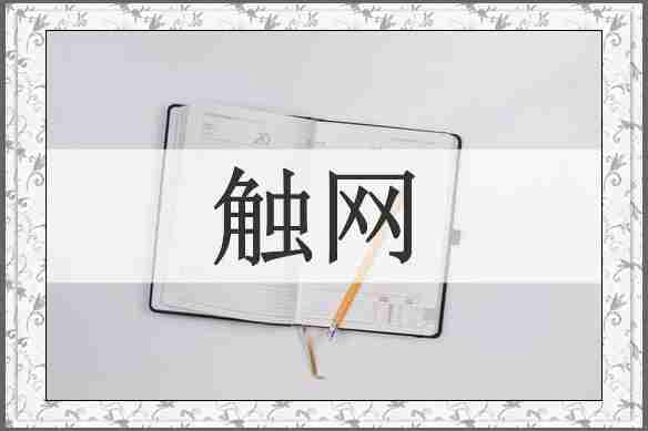触网