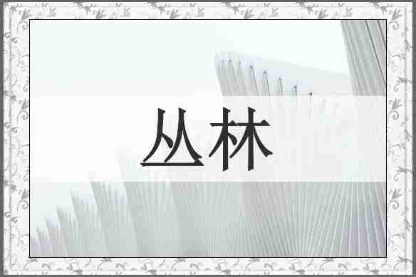 丛林