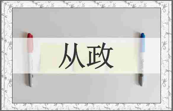 从政