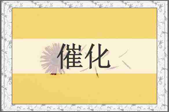 催化