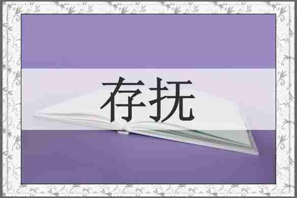 存抚