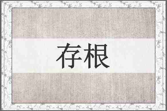 存根