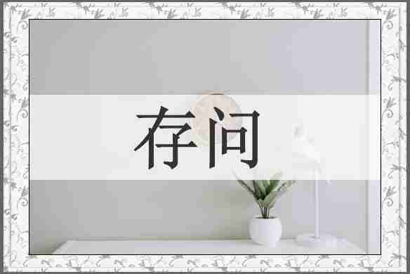 存问