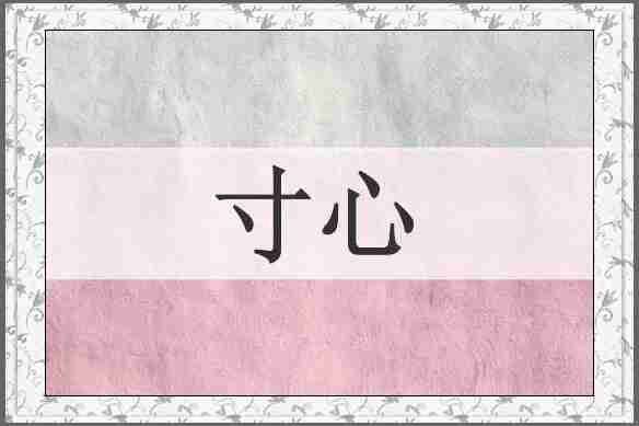 寸心