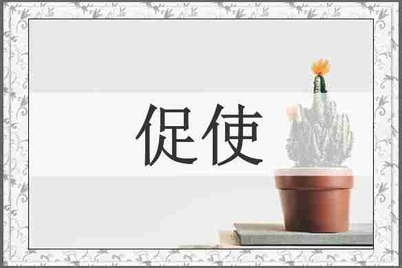 促使