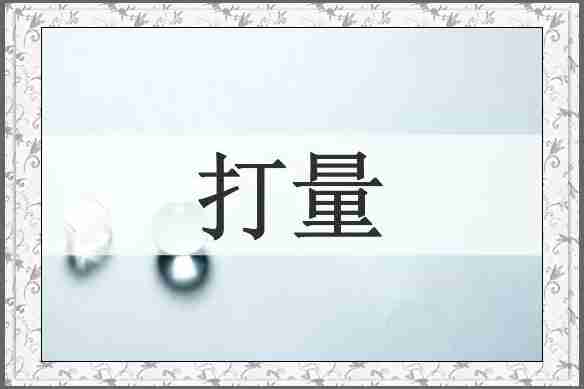 打量