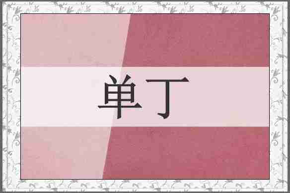 单丁