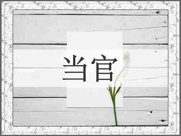 当官