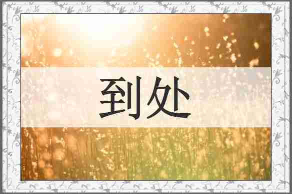 到处