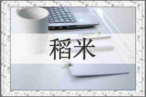稻米