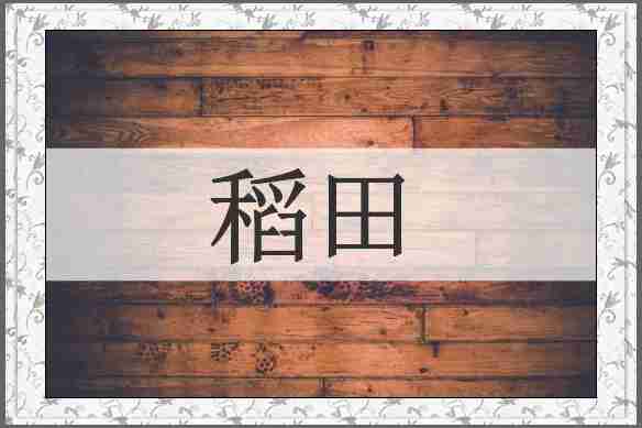 稻田