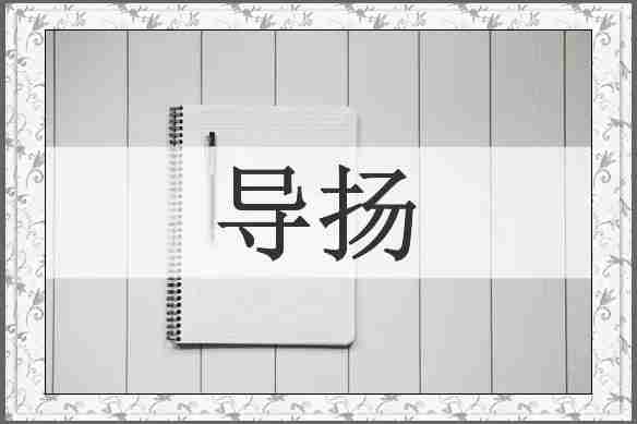 导扬