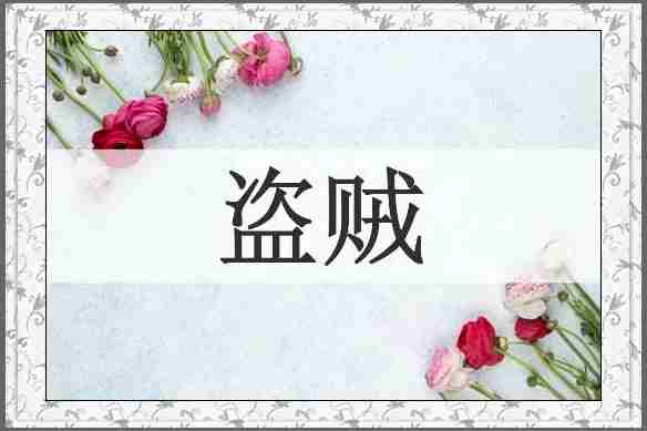 盗贼