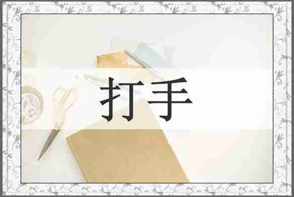 打手
