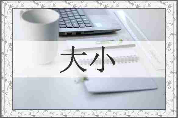 大小