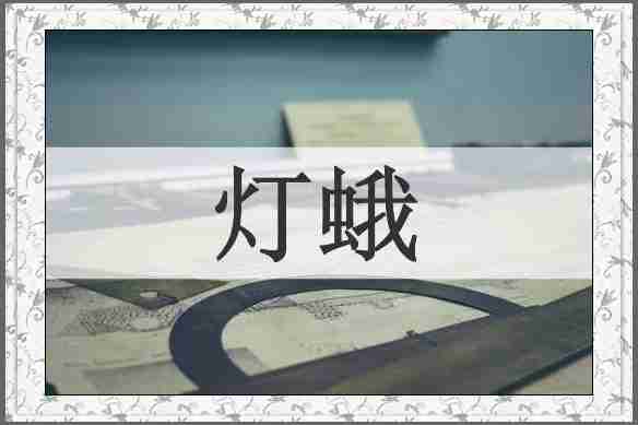 灯蛾