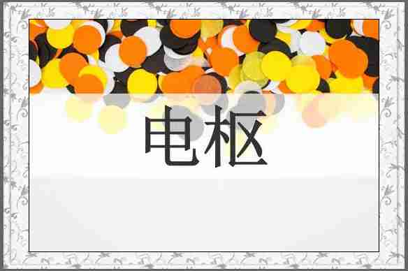 电枢