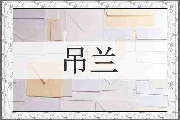 吊兰
