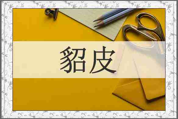 貂皮