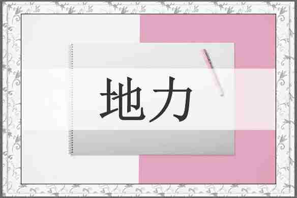 地力