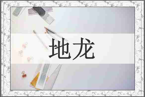 地龙