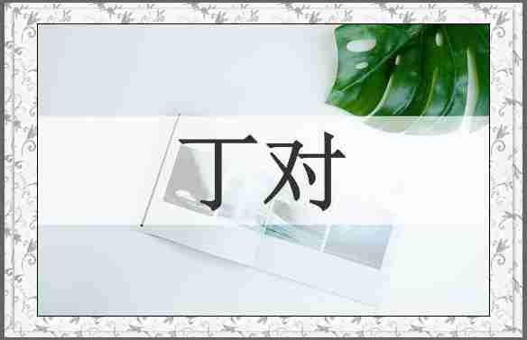 丁对