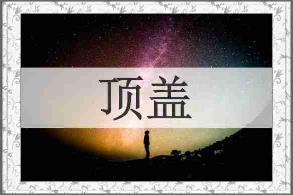 顶盖
