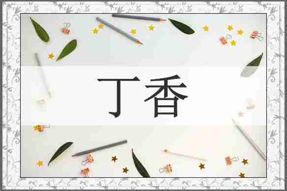 丁香