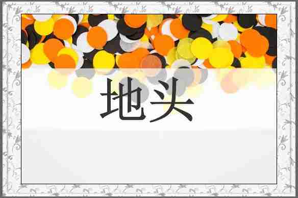 地头