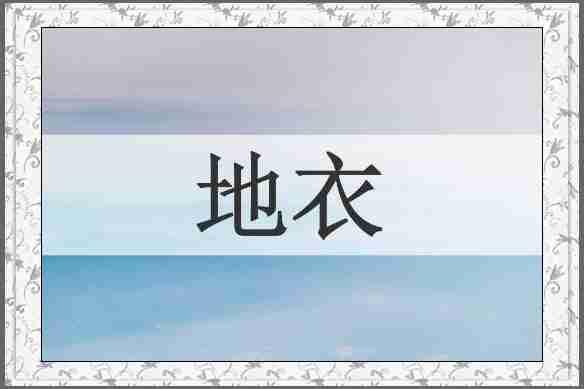 地衣