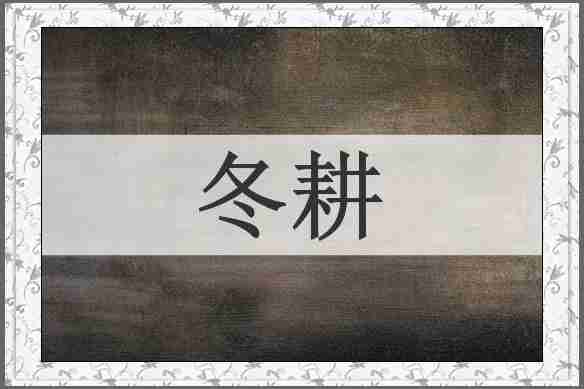 冬耕