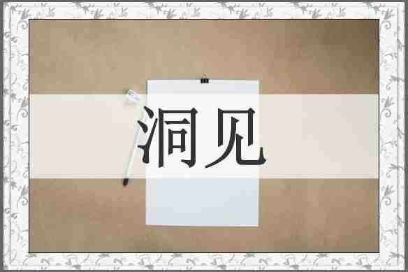 洞见