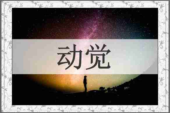 动觉