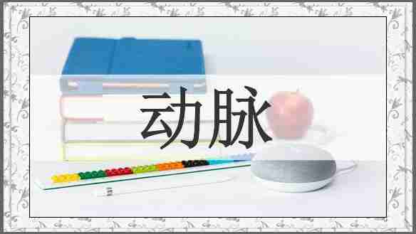 动脉
