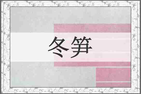 冬笋