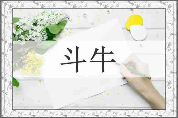 斗牛