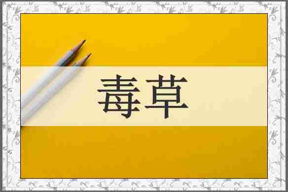 毒草