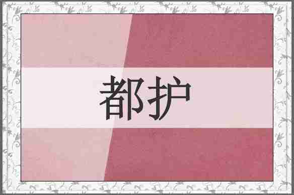 都护
