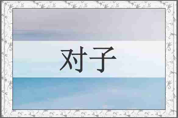对子