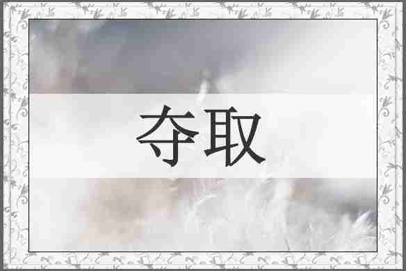 夺取