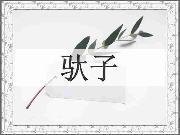驮子