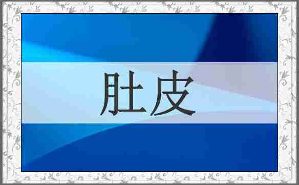 肚皮