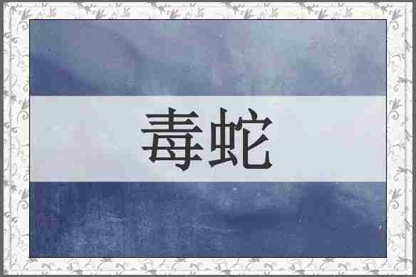 毒蛇