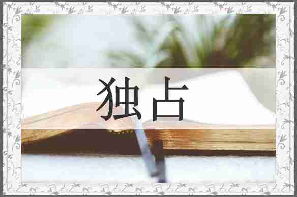 独占